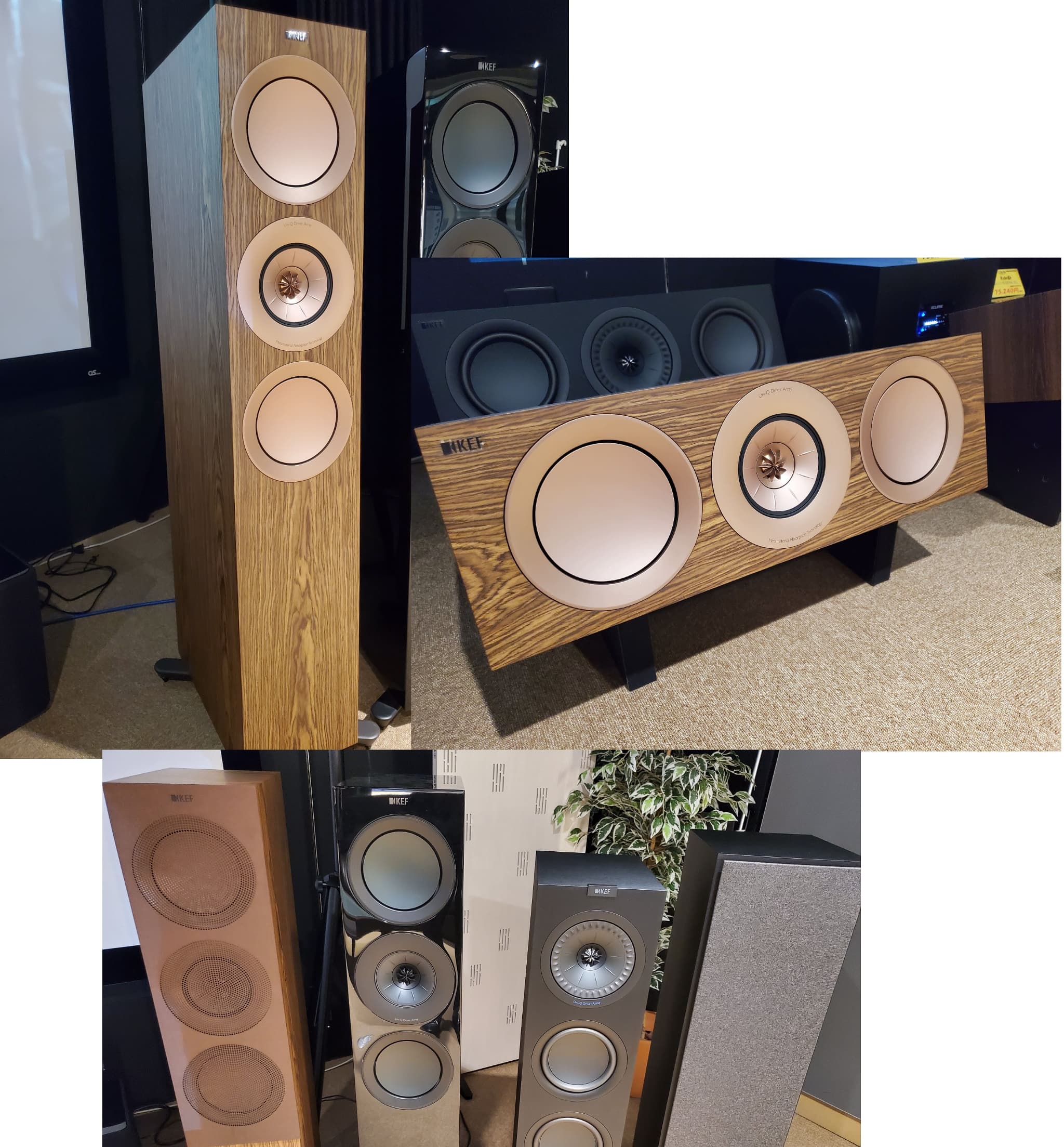 KEF R6 Meta R7 Meta 展示！｜CAVIN 大阪屋 札幌オーディオ